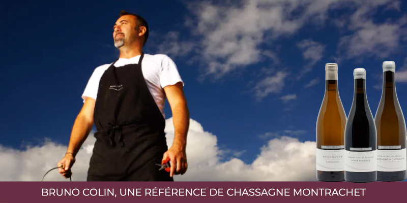Bruno Colin, one of the references of Chassagne Montrachet